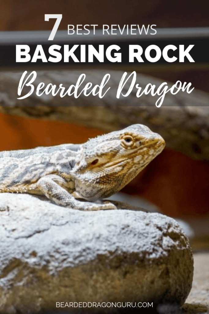 Best bearded Dragon Basking Rocks